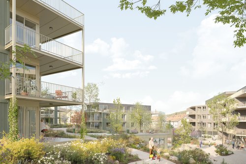 Architecture de CCHE pour Common Ground Moudon Suisse