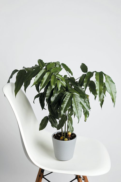 Urbanisme et architecture du paysage