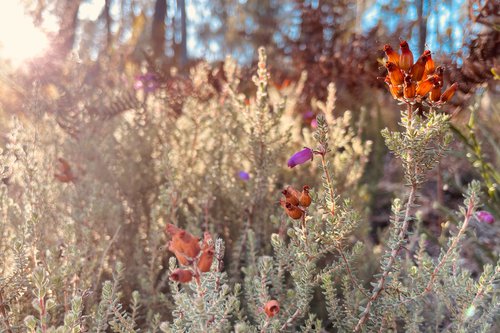 Portrait de CCHE Michael Pereira Architecte associé Portugal