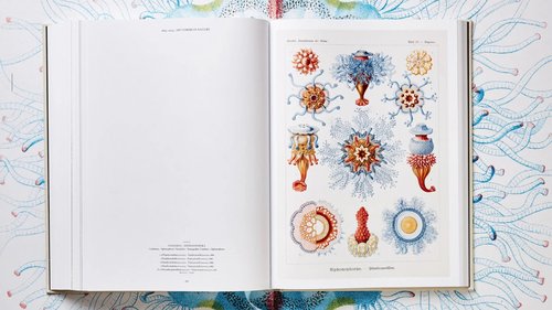 Architecture de CCHE pour le module flottant MEA