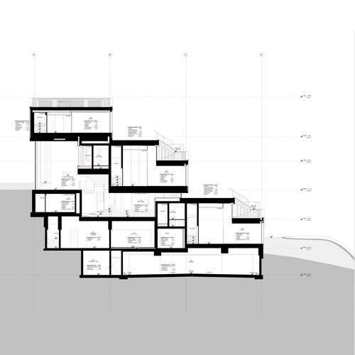Réalisation de CCHE pour l'hôtel des horloger Audemars Piguet en Suisse