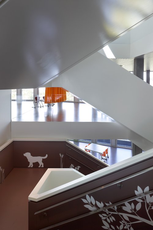 Architecture de CCHE de l'école GEMS World Academy Suisse