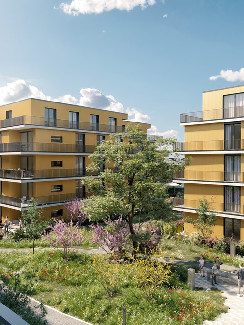 Urbanisme et architecte de CCHE pour Q11 - Les Chênes de Renens